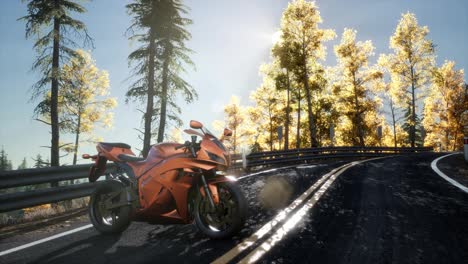 sportbike-on-tre-road-in-forest